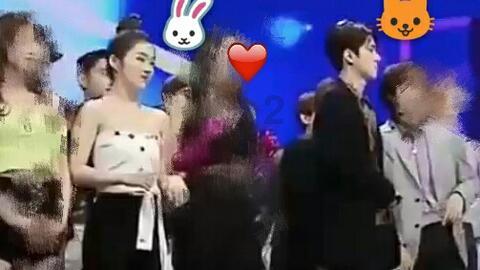 救援小袋熊